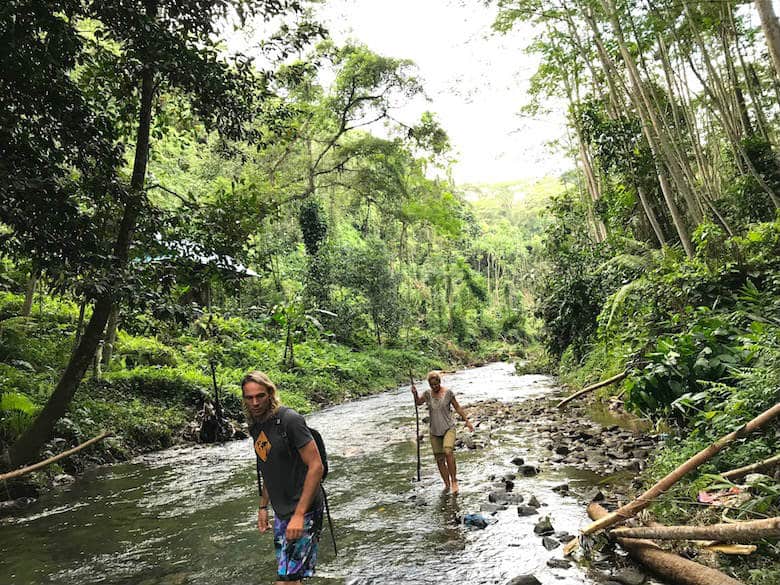 Bali in der Regenzeit Dschungel
