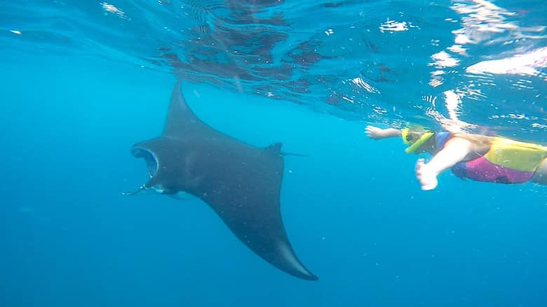 Bali interessante Orte Manta Point