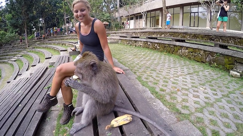 Bali interessante Orte Monkey Forest