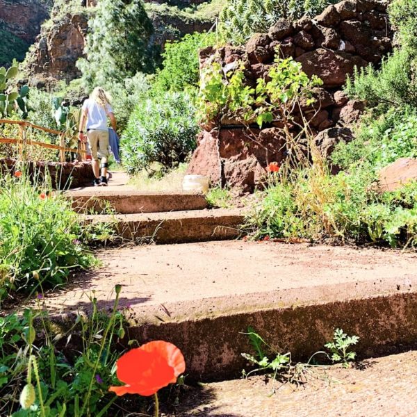 Barranco de Guayadeque Weg Stufen