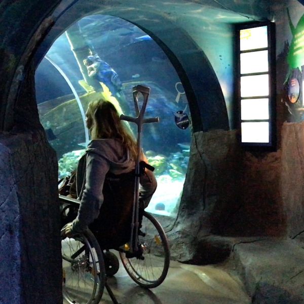 Barrierefreiheit Rollstuhl Sea Life Oberhausen