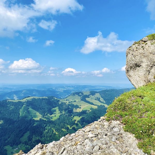 Berg Felsen Hochgrat