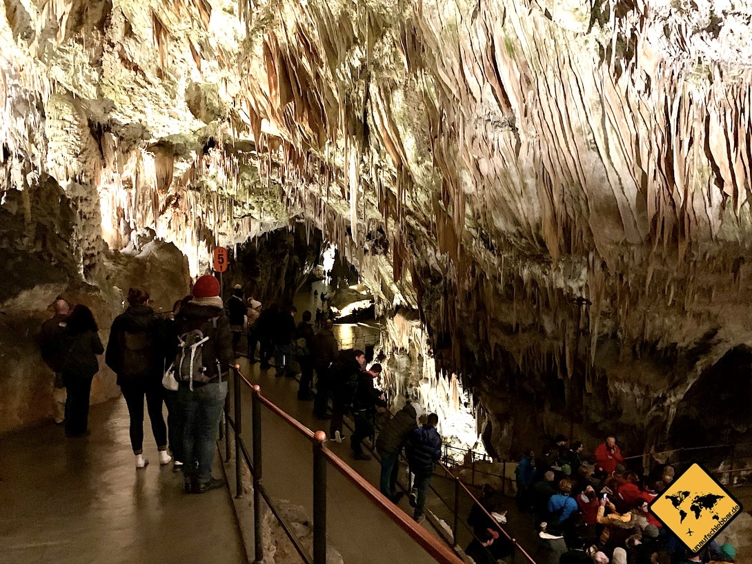 Besuchergruppe Postojna Höhle