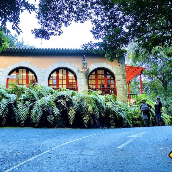 Besucherzentrum Los Tilos