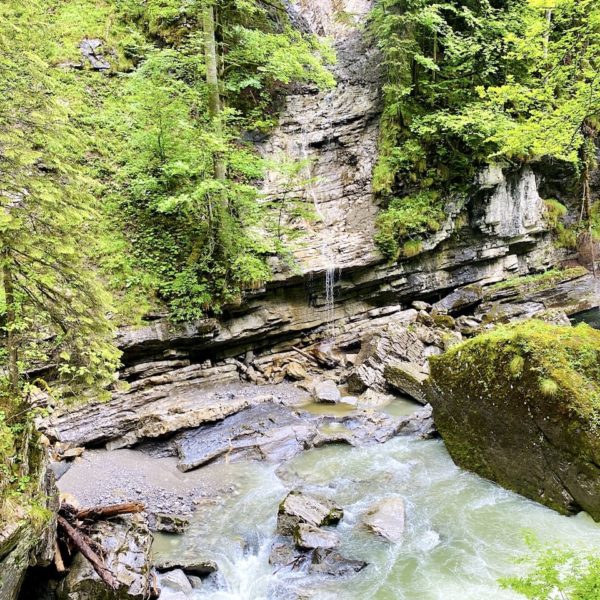 Bild Breitachklamm Sommer