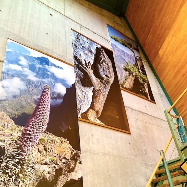 Bilder Besucherzentrum Caldera de Taburiente Nationalpark