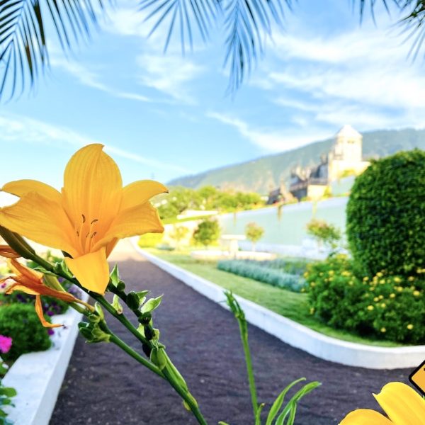 Blume Victoria Garden