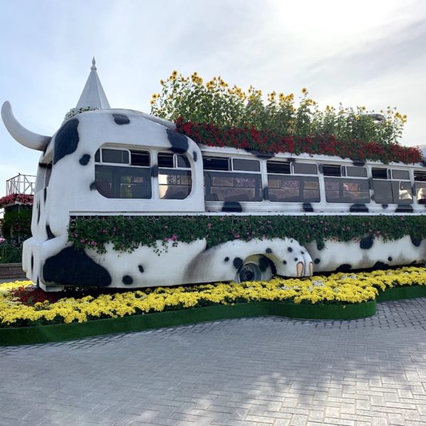 Blumen Bus Dubai Miracle Garden