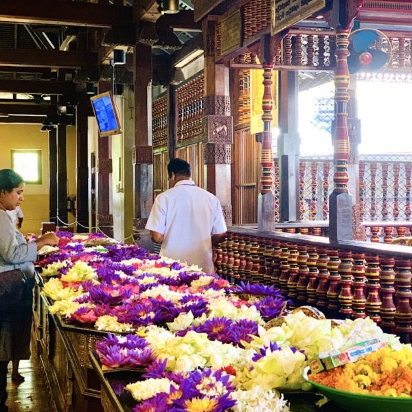 Blumen Gebetsfläche Zahntempel