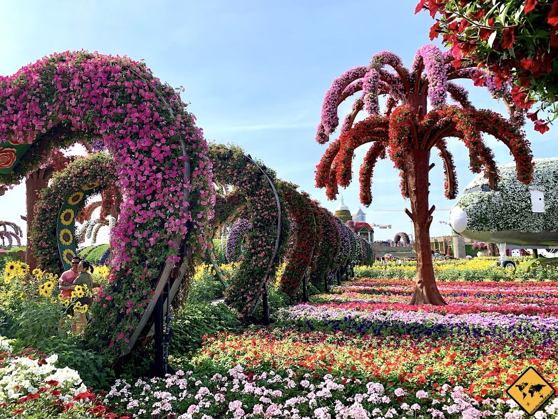 Miracle Garden Dubai 6 Dinge Die Du Vor Deinem Besuch Wissen Musst