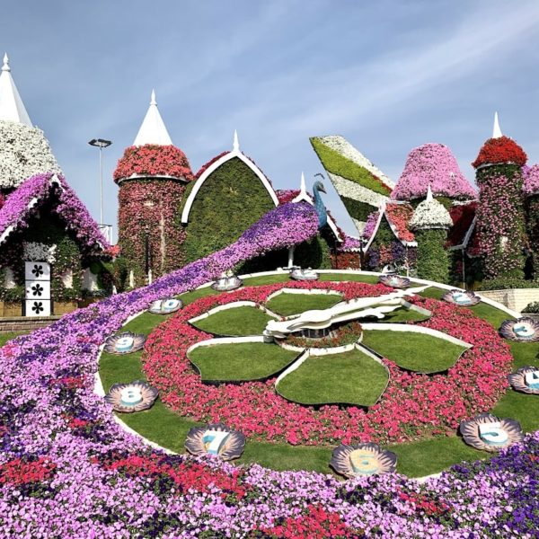 Die bekannte Blumenuhr ist ein besonderes Highlight im Miracle Garden in Dubai