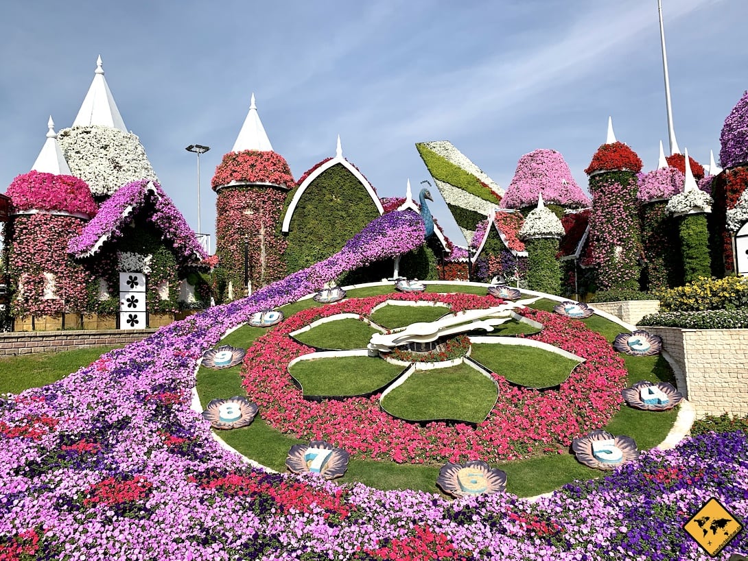 Miracle Garden Dubai 6 Dinge Die Du Vor Deinem Besuch Wissen Musst