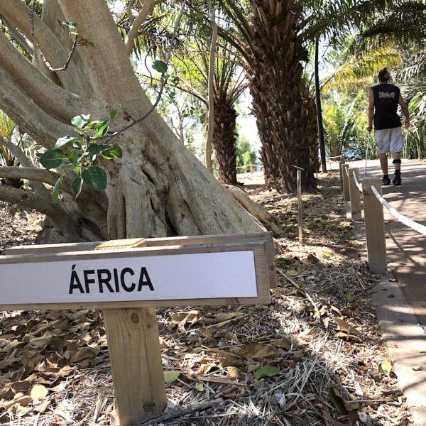 Botanischer Garten Santa Cruz Weltregionen