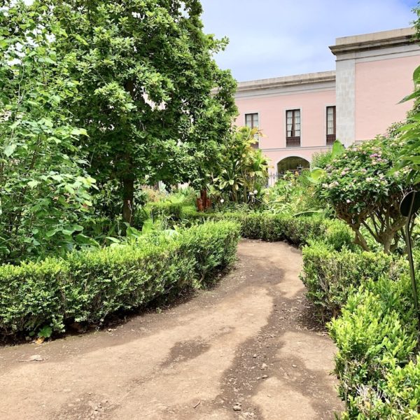 Botanischer Garten Teneriffa Hijuela del Botánico La Orotava