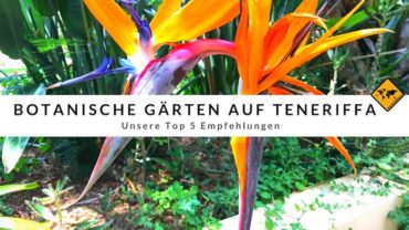 Botanische Gärten auf Teneriffa – Top 5 Empfehlungen