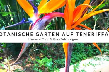 Botanische Gärten auf Teneriffa – Top 5 Empfehlungen