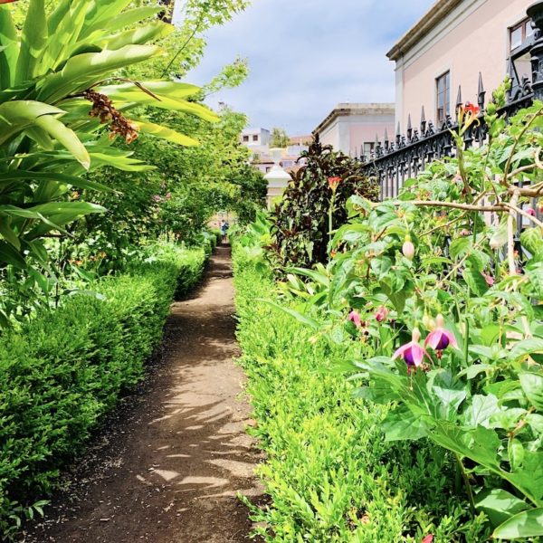 Botanische Garten Auf Teneriffa Top 5 Unaufschiebbar De
