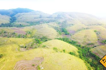 Bukit Teletubbies Nusa Penida – Balis Teletubbie Hügel