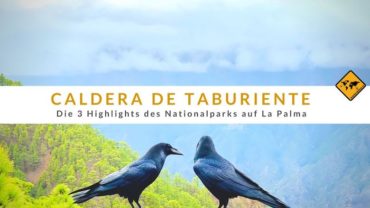 Caldera de Taburiente – Die 3 Highlights des Nationalparks auf La Palma