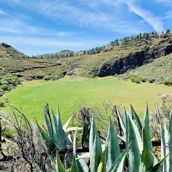 Caldera los Marteles Vulkankessel Gran Canaria