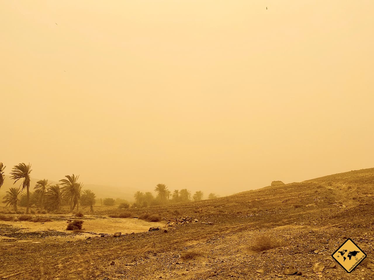 Calima Fuerteventura Kanaren Sandsturm Februar 2020