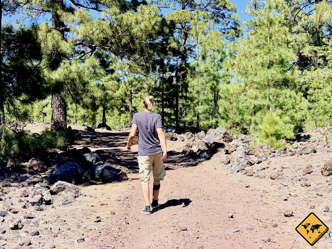 Campen auf Teneriffa Pinienwald Weg