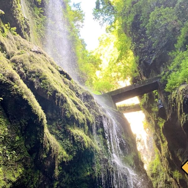 Cascada De Los Tilos La Palma