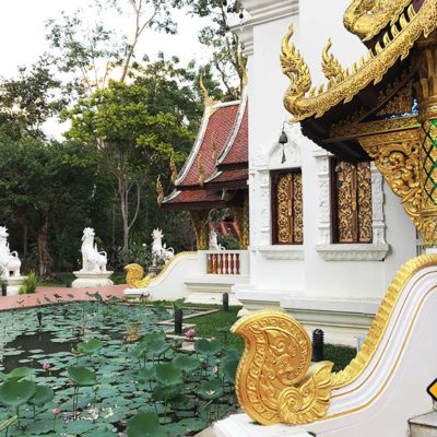 Chiang Mai Tempel Wat Pa Dara Phirom