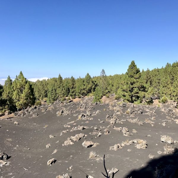 Chinyero Landschaft