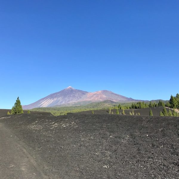 Chinyero Teide Nationalpark