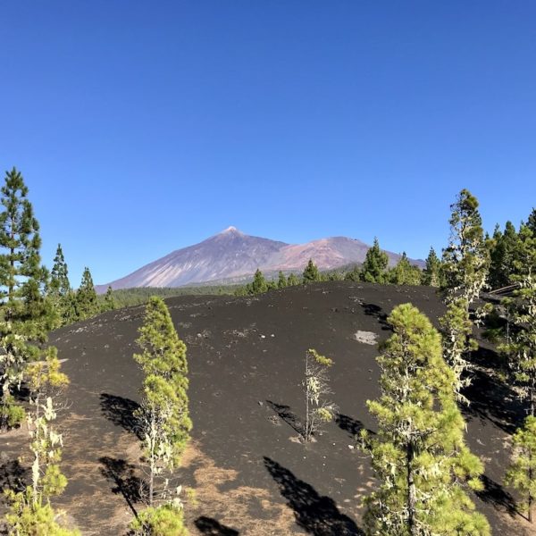 Chinyero Teneriffa Blick Teide