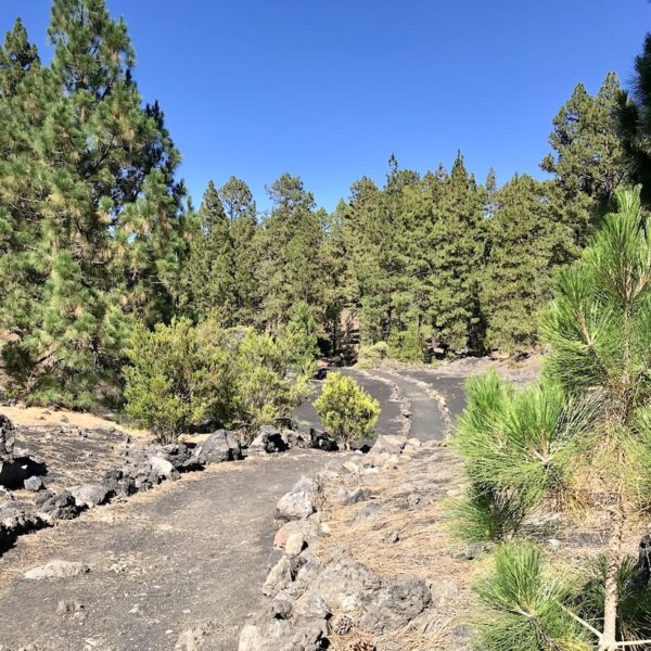 Chinyero Wanderroute