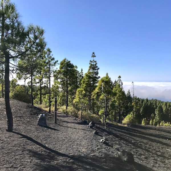 Chinyero Wanderstrecke