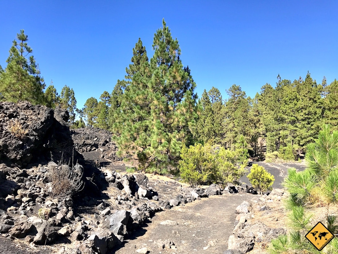 Chinyero Wanderung Arenas Negras Weg