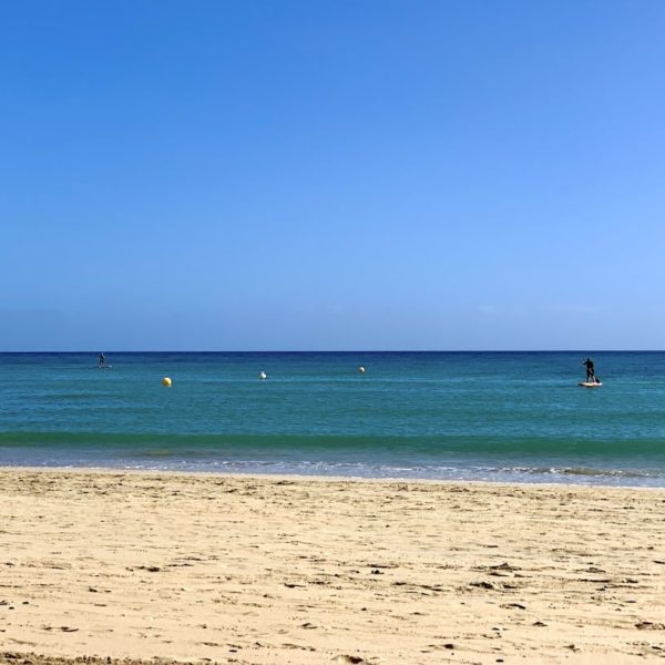 Costa Calma (Fuerteventura) - Top 8 Aktivitäten & Reisetipps
