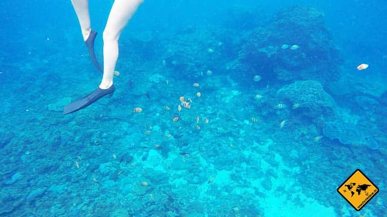 Crystal Bay Bali schnorcheln
