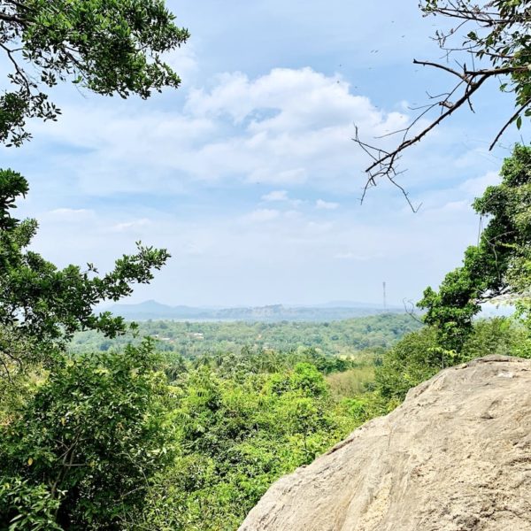 Dambulla Landschaft