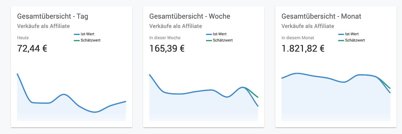 Digistore24 Einnahmen