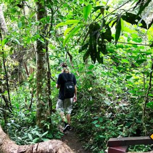 Doi Suthep Chiang Mai Nature Trail