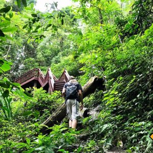 Doi Suthep National Park Treppen