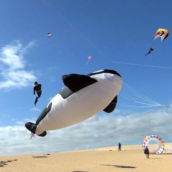 Drachenfest Corralejo Fuerteventura Geheimtipps