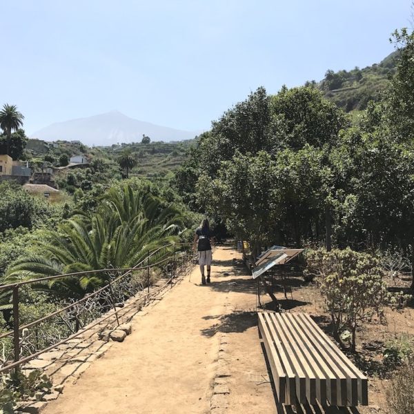 Drago Park Teide