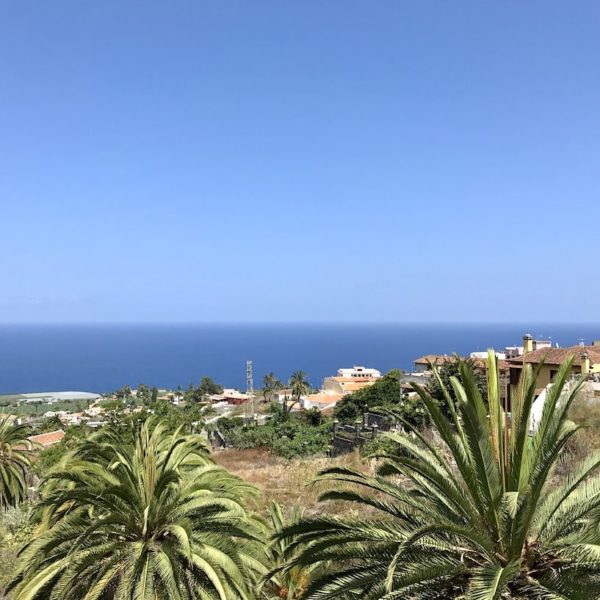 Drago Park Teneriffa Aussicht Meer