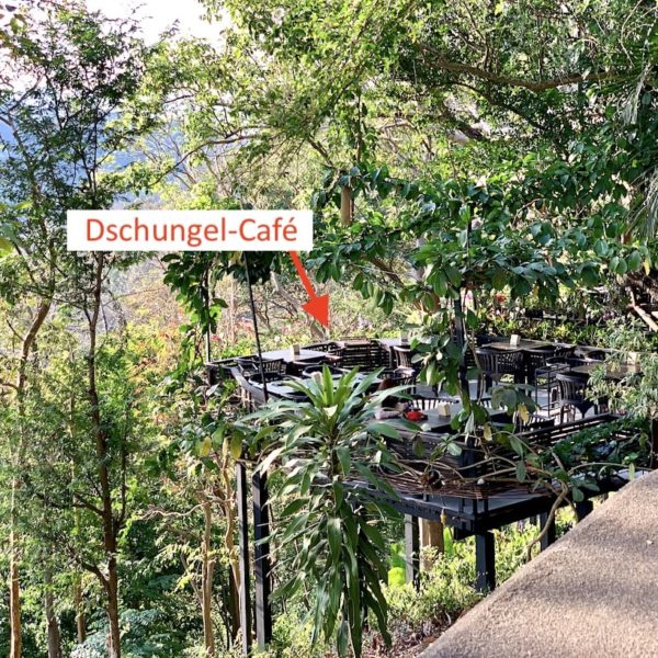 Dschungel Café Rang Hill Phuket City