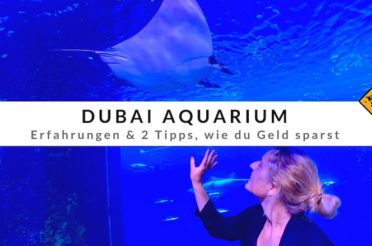 Dubai Aquarium – Erfahrungen & 2 Tipps, wie du Geld sparst