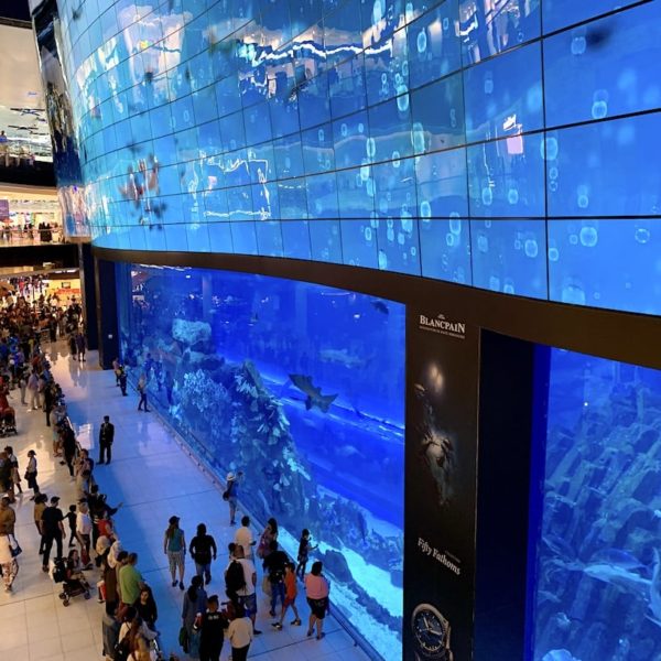 Dubai Aquarium Mall
