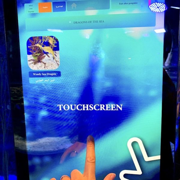Dubai Aquarium Touchscreen