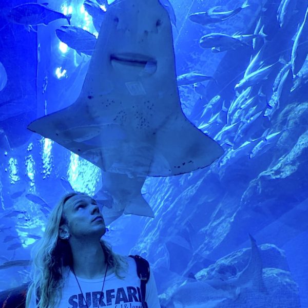 Dubai Aquarium Unterwasser-Tunnel