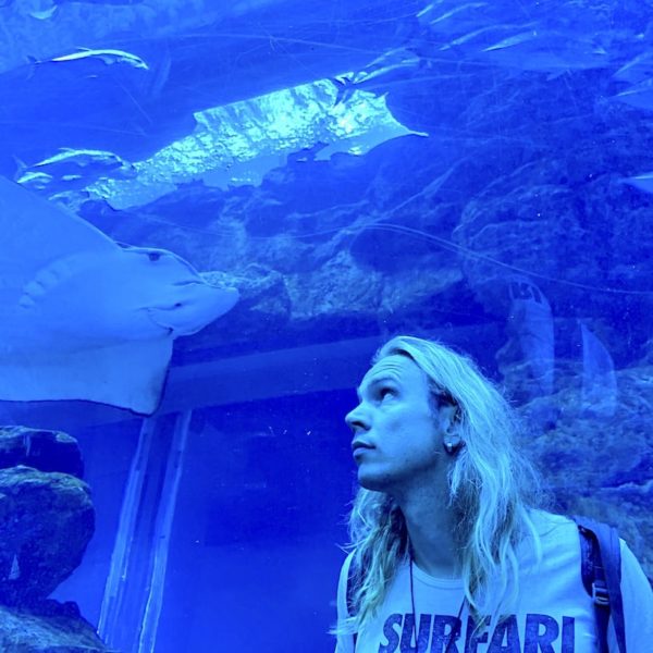 Dubai Mall Aquarium Unterwasser-Tunnel