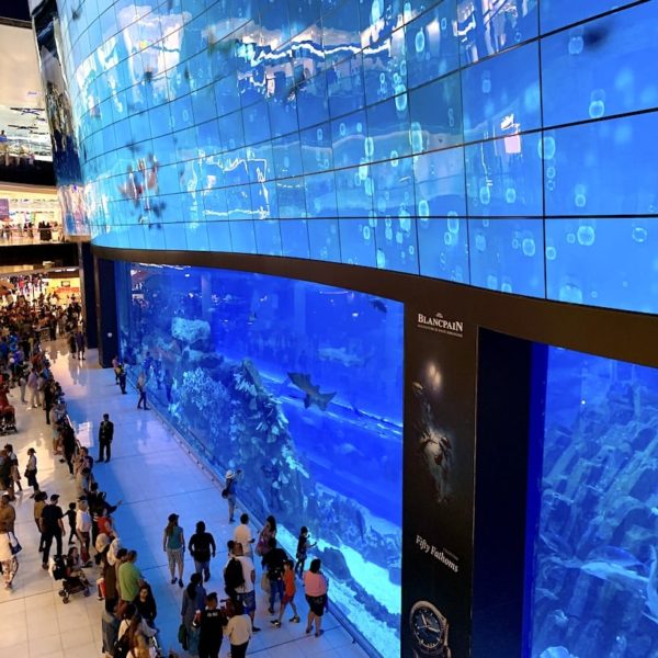 Dubai Mall Aquarium kostenloser Bereich